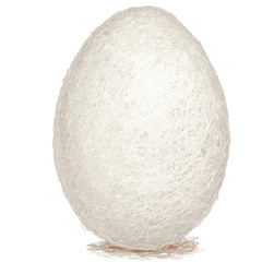 raw white chicken egg
