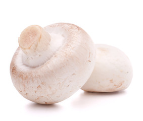 Champignon mushroom