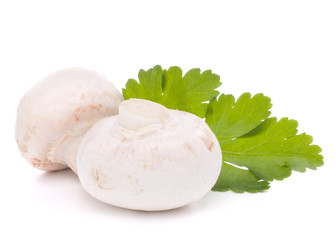 Champignon mushroom and parsley leaves