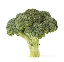 Broccoli vegetable