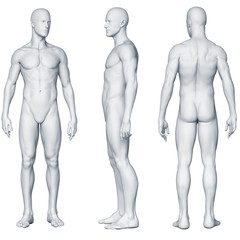 Männlicher Körper - Seitenansichten