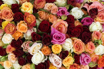 Rosen