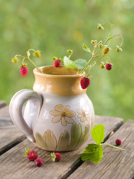 wild strawberries