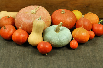 Pumpkins fruits
