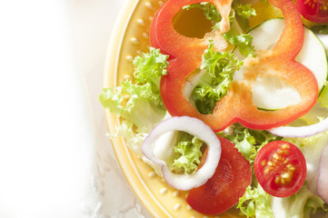 vegetarian diet