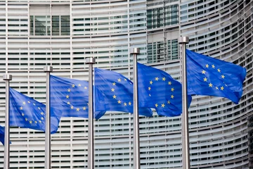 Foto op Plexiglas Brussel Europese vlaggen in Brussel