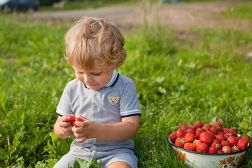 Blond toddler in green field eating strawberries