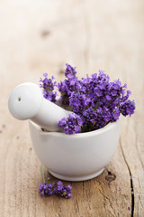 fresh lavender in mortar