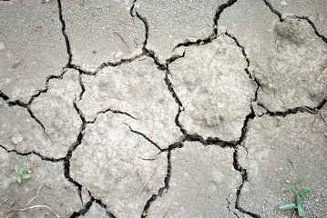 Dry soil as background, concept of drought and aridity