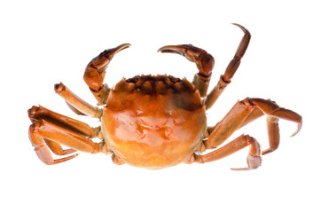 red crab