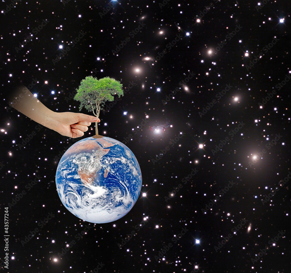 Wall mural ree on earth as a symbol of peace.elements of this image furnish
