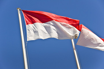 Drapeau monégasque - Monaco