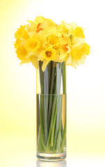 beautiful yellow daffodils in transparent vase