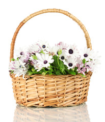 Fototapeta na wymiar bouquet of beautiful summer flowers in basket, isolated on