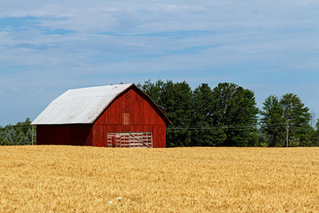 Obraz premium Red Barn