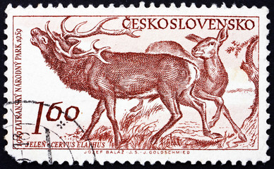Postage stamp Czechoslovakia 1959 Red Deer, Cervus Elaphus