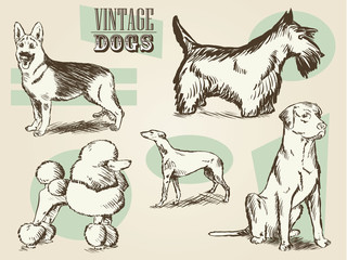 Classic Retro Ornate Dog Collection