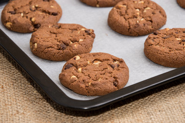 Some brown Cookies on a griddle