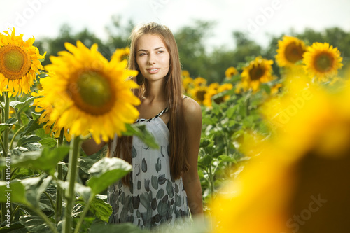девушка блондинка цветы природа подсолнечники загрузить