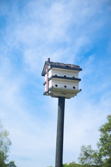 Bird house with blue sky in cloudy day
