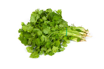 Parsley tied in a bunch with twine isolated