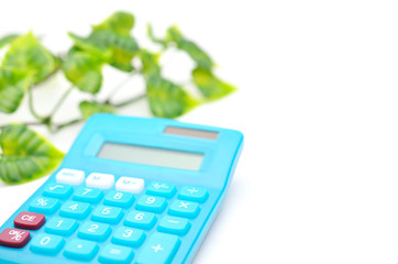 電卓　青　観葉植物