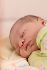 Portrait of the sleeping newborn baby