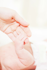 Fototapeta na wymiar parental hand holds a palm of the baby