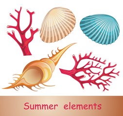 Summer sea elements