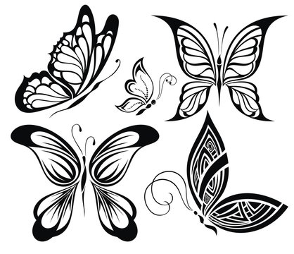 Black and white butterflies