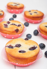 Blueberry Muffins