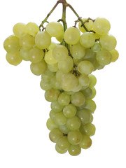 Гроздь / кисть зеленого винограда.