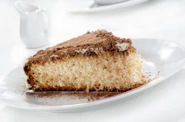summer cake with chocolate powder