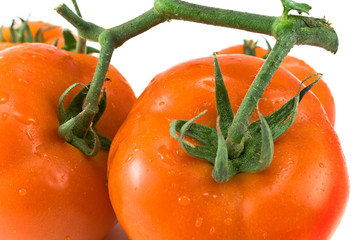 Tomatoes with petiole