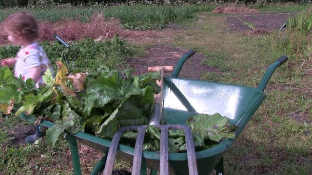 b&eacute;b&eacute; dans le potager