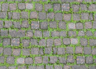 Old stone wall overgrown with grass