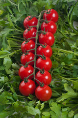 cherry tomato with green parsel