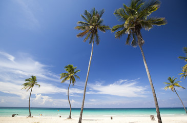 Beach in the caribbean