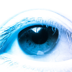 eye macro