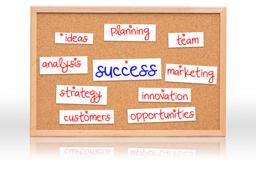 The cork board with Success planning