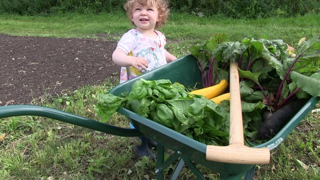 activit&eacute; seine