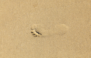 footprint at the beach
