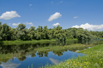 Wasserschutzgebiet am Rhein