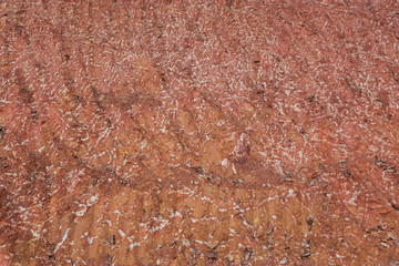 Soil texture layers