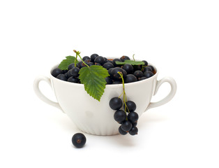 bowl with black currant