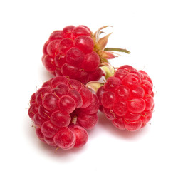 raspberrie isolated on white