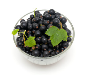 bowl with black currant