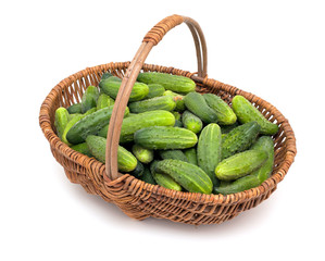 cucumbers in a basket