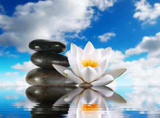 Foto auf Acrylglas Wasserlilien stones and lily in water