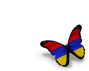 Armenian flag butterfly, isolated on white background